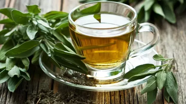 beneficios-do-cha-verde-13570.webp